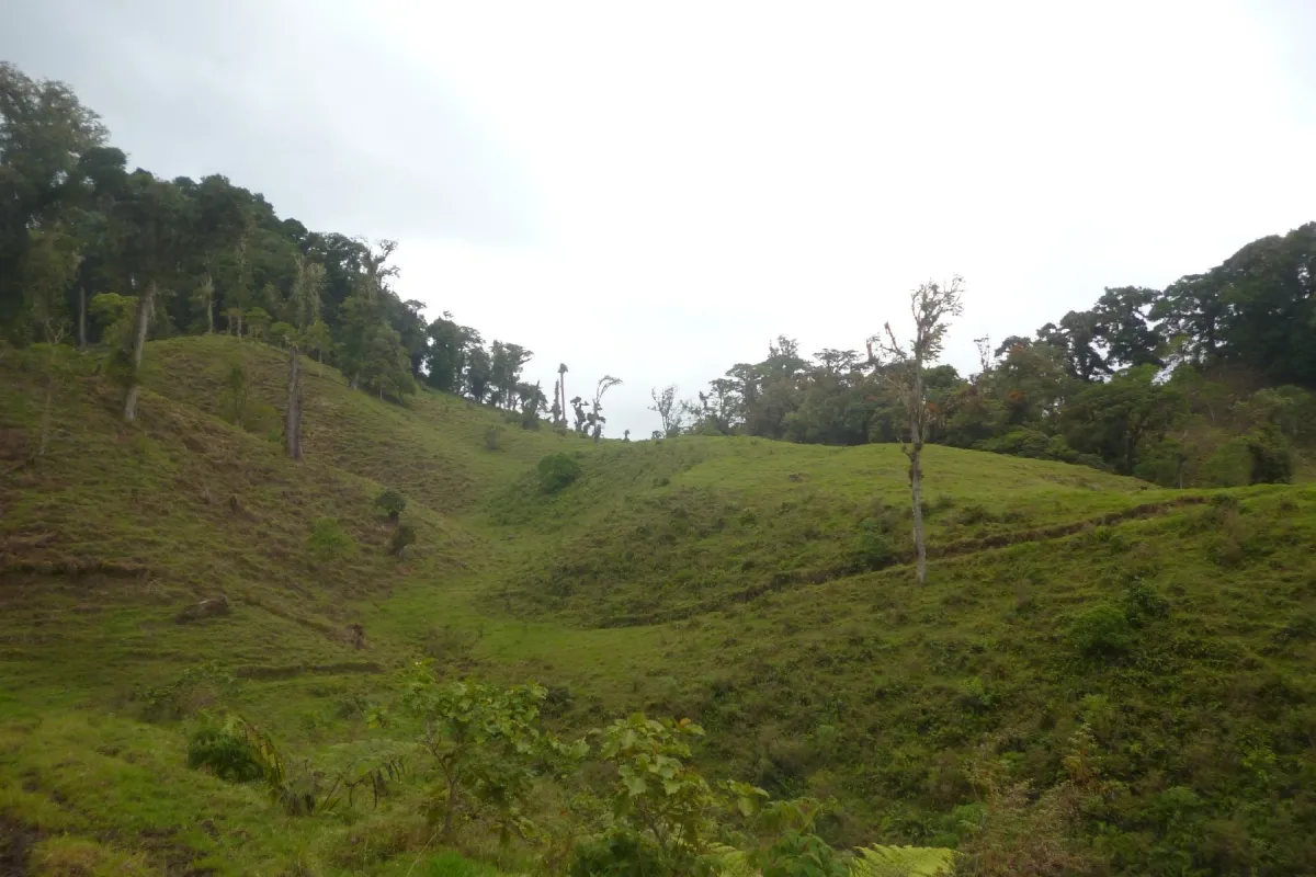 CHIRIQUI, BOQUETE, PROPIEDAD CERCA DEL PARQUE NACIONAL VOLCAN BARU