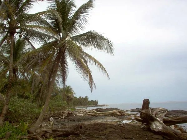 Caribbean beach front, private cove, Cocle del Norte, Colon