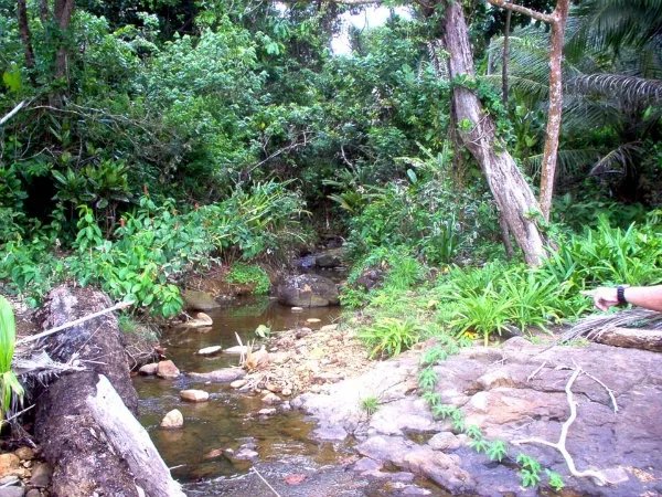 Caribbean beach front, private cove, Cocle del Norte, Colon
