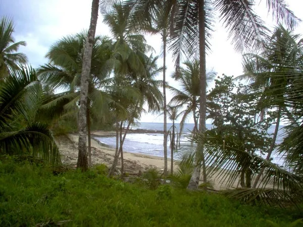 Caribe frente a la playa, cala privada, Cocl