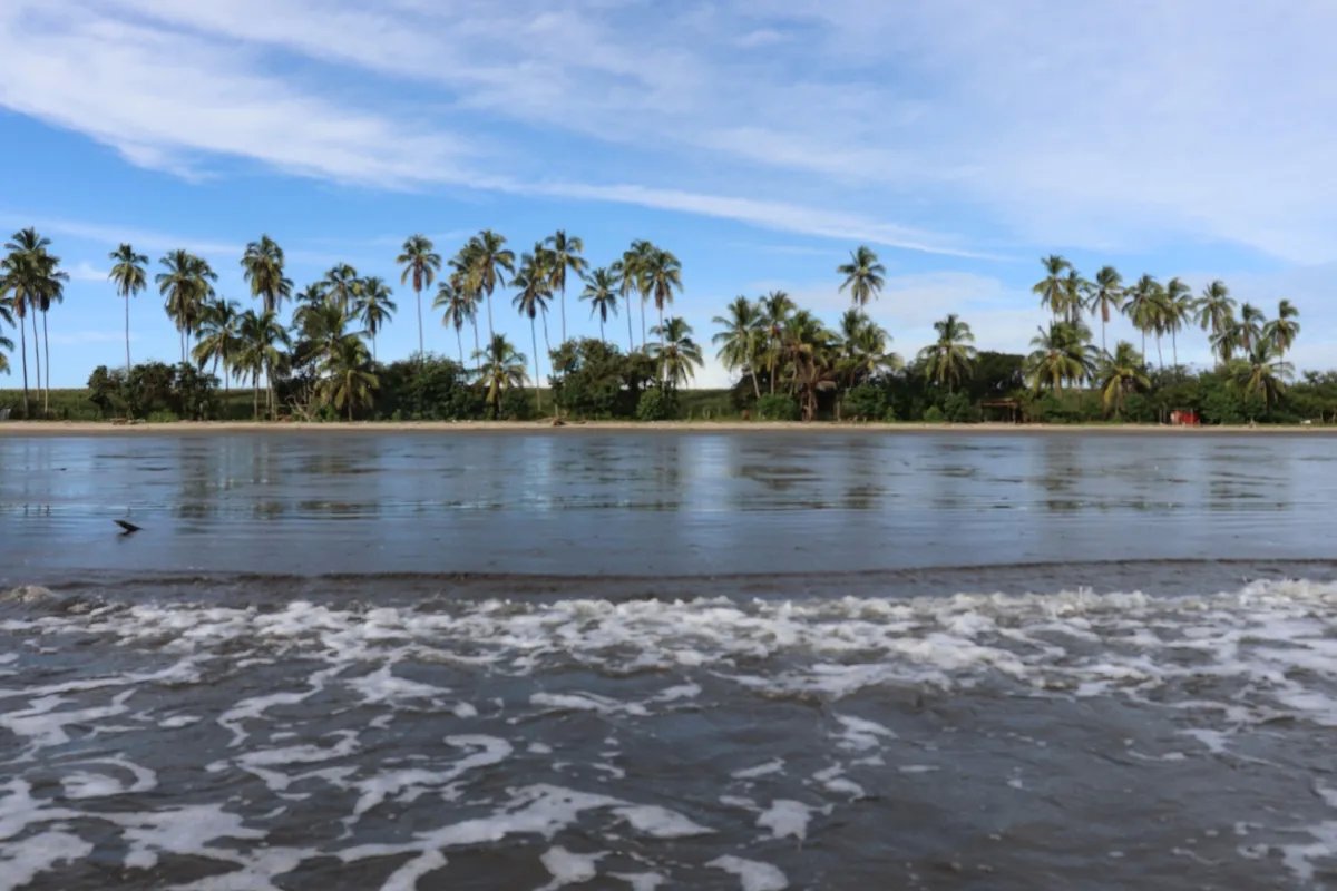 Land/Farm for Sale in Las Tablas