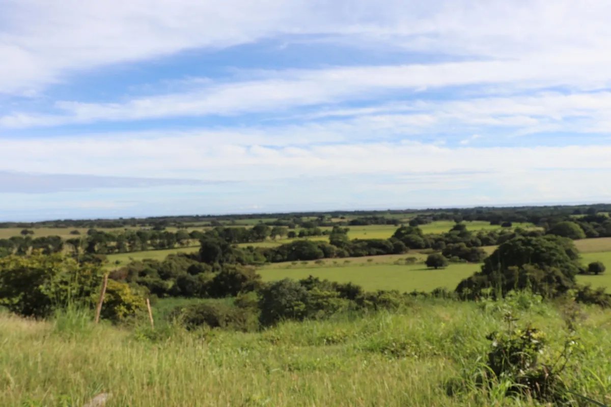 Land/Farm for Sale in Las Tablas