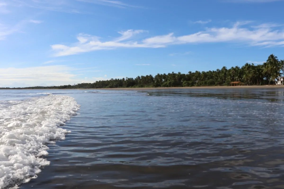Land/Farm for Sale in Las Tablas