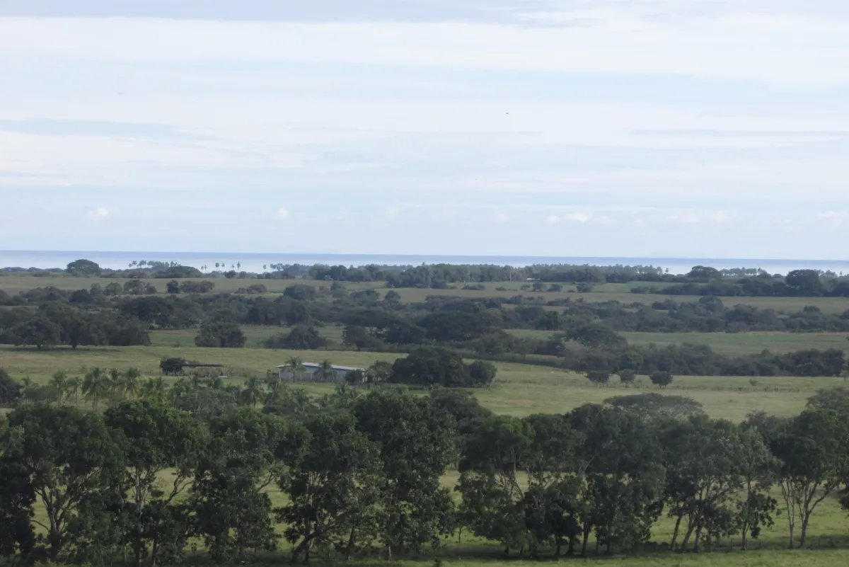 Land/Farm for Sale in Las Tablas