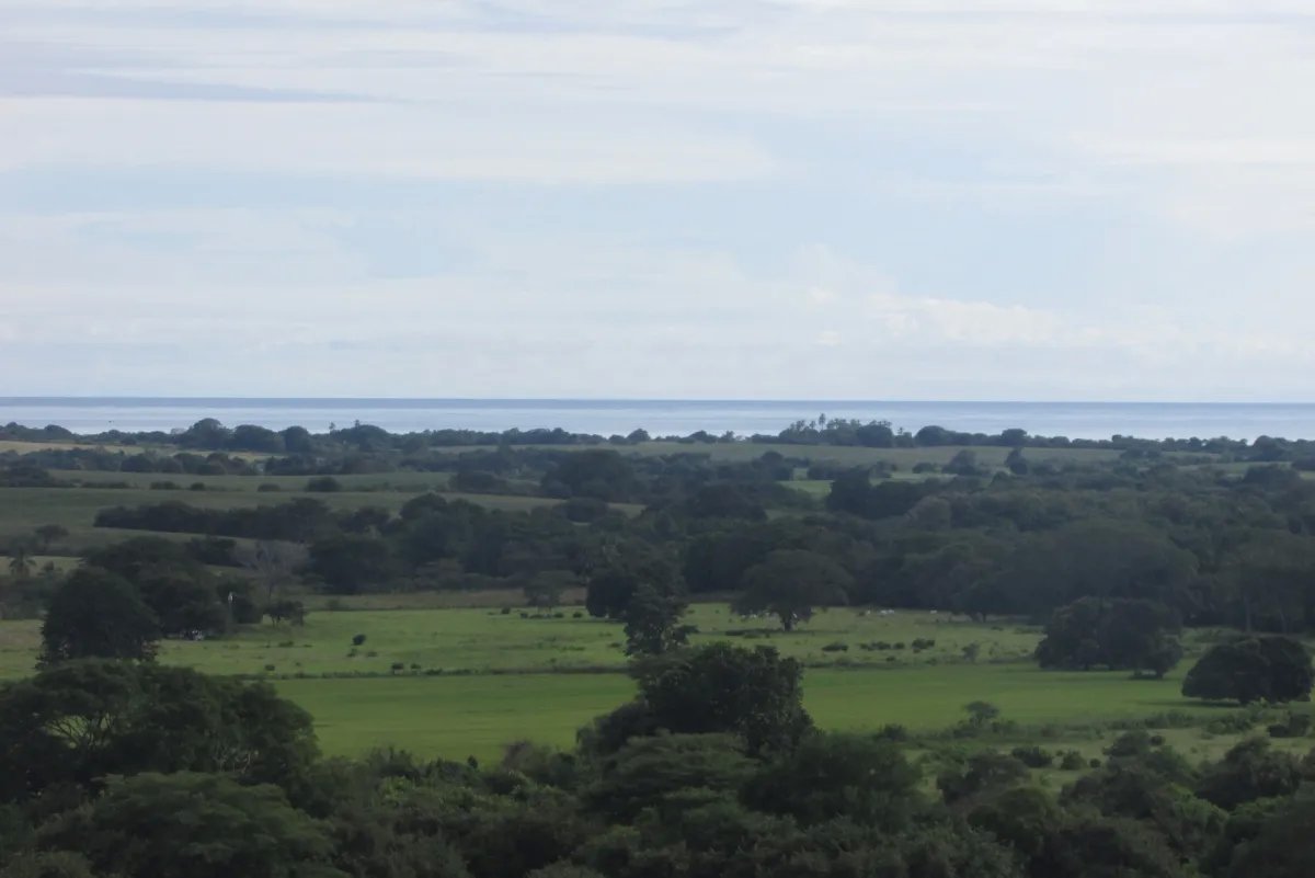 Land/Farm for Sale in Las Tablas