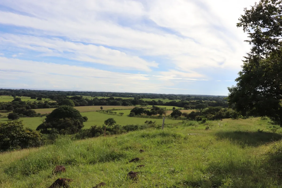 Terreno/Granja en Venta en Las Tablas