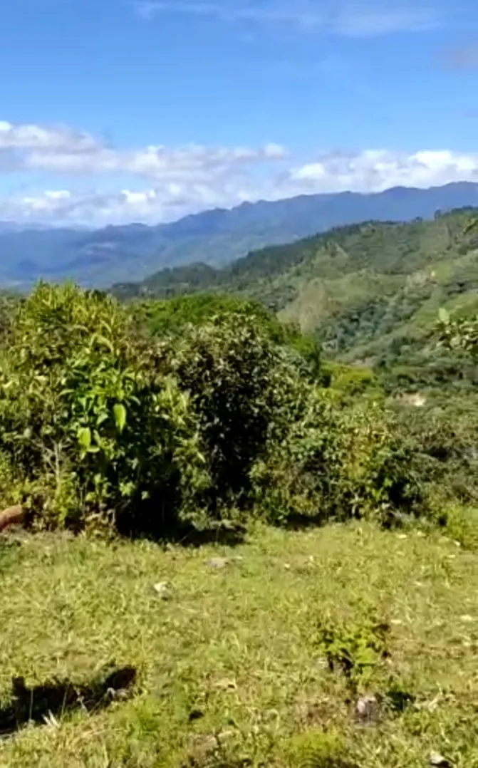 A LA VENTA TERRENO EN SANTA FE, VERAGUAS.