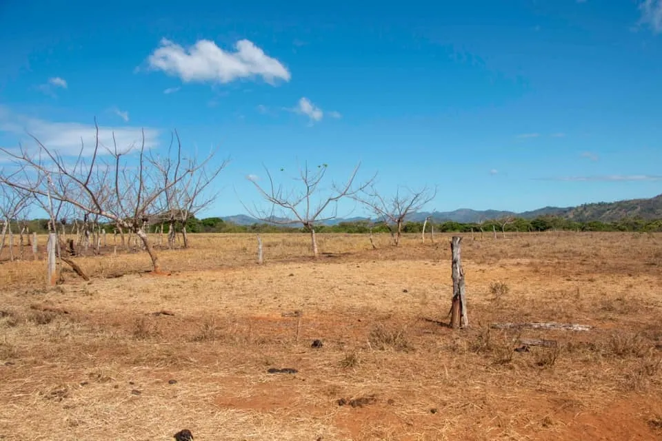SE VENDE GRAN TERRENO EN AGUAS BLANCAS, VERAGUAS. DE 55 HECTAREAS