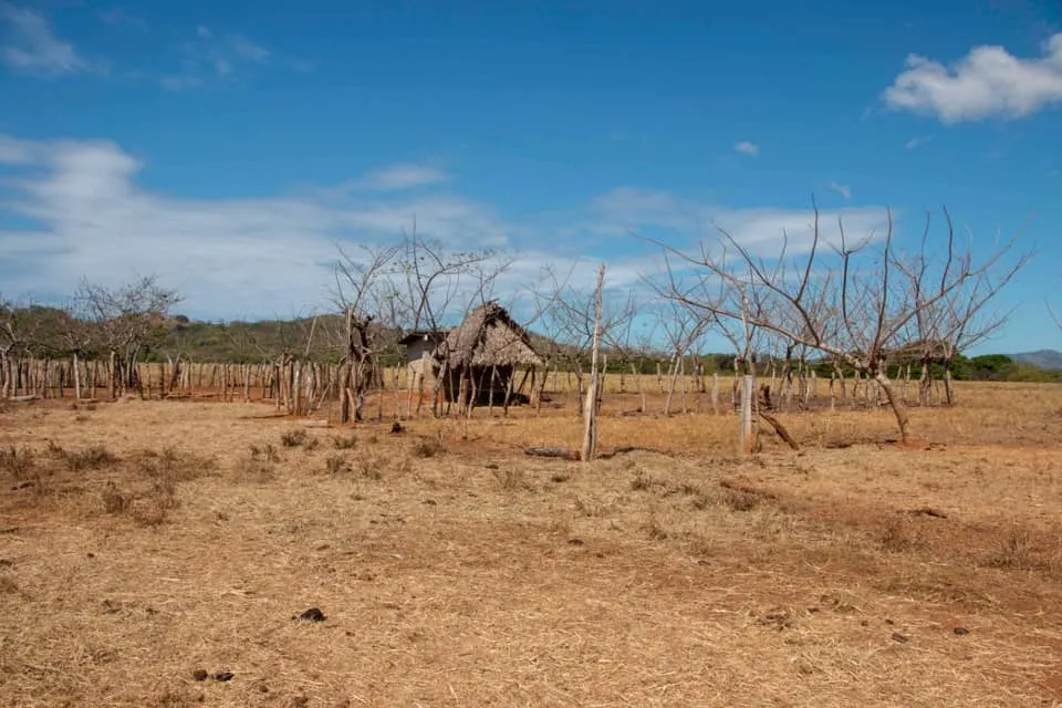 SE VENDE GRAN TERRENO EN AGUAS BLANCAS, VERAGUAS. DE 55 HECTAREAS