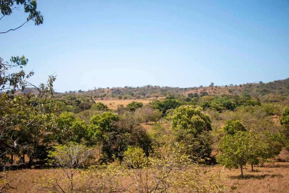 SE VENDE GRAN TERRENO EN AGUAS BLANCAS, VERAGUAS. DE 55 HECTAREAS