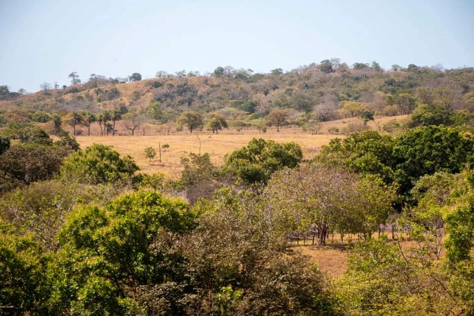 SE VENDE GRAN TERRENO EN AGUAS BLANCAS, VERAGUAS. DE 55 HECTAREAS