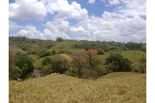SE VENDE TERRENO EN PLAYA LEONA, LA CHORRERA. PANAMÁ. 143 HECTARÉAS