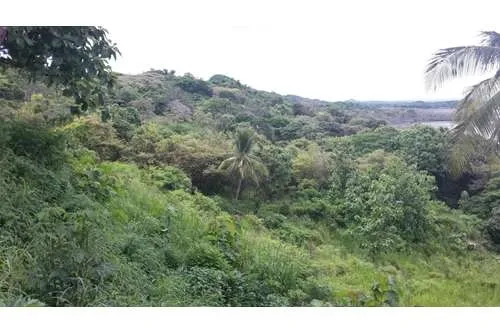 SE VENDE TERRENO EN PLAYA LEONA DE 14.5 HECTAREAS FRENTE AL MAR PACIFI...