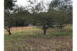 Se Vende Terreno en Santa Catalina, Veraguas. Panamá.