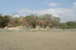 42 hectareas frente a playa en Playa Chumico Pedasi