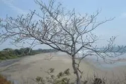 42 hectareas frente a playa en Playa Chumico Pedasi