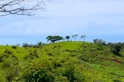 Terreno en Playa Morillo de 27 hectareas con vista al mar