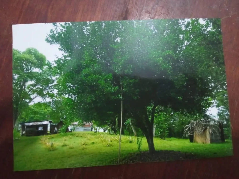 ISLA DE 17 HECTÁREAS EN VENTA EN VERAGUAS.
