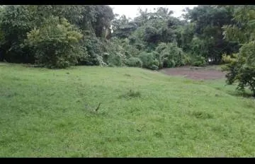 SE VENDE 190 HECTAREAS EN LA COSTA DE VERAGUAS, PANAMÁ