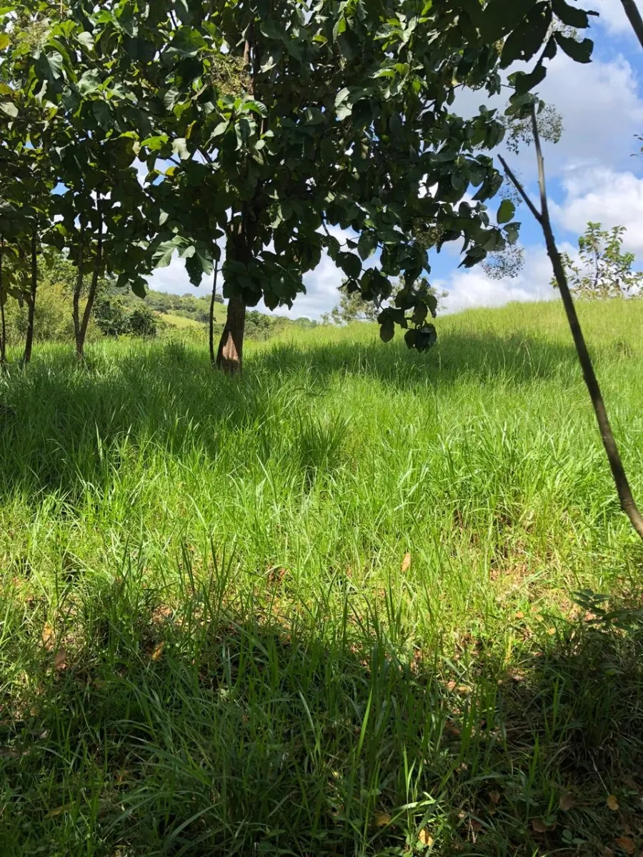 FINCA EN VENTA EN LA ONDA, LA PITALOZA, LOS POZOS, PROVINCIA DE HERRER...