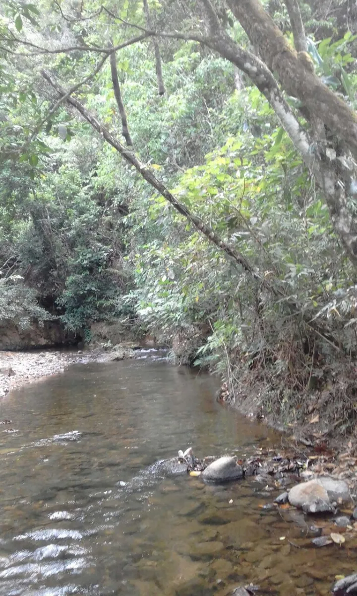 Terreno/Granja en Venta en Los Pozos