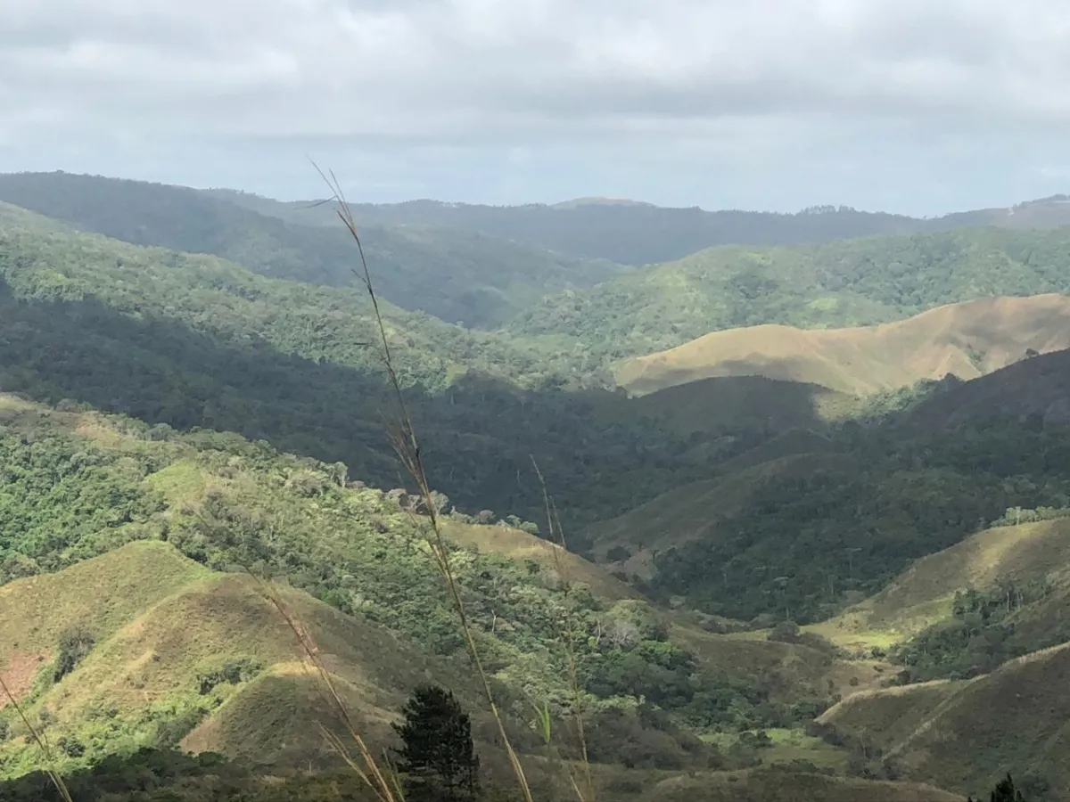 Terreno/Granja en Venta en Los Pozos