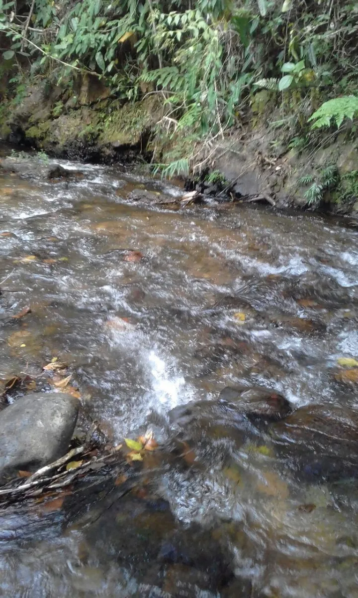 Terreno/Granja en Venta en Los Pozos