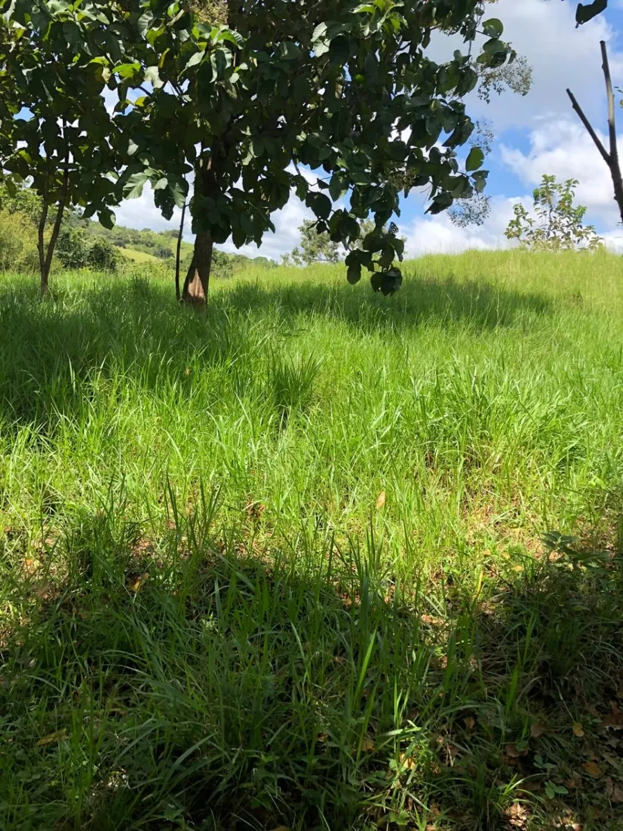 Terreno/Granja en Venta en Los Pozos
