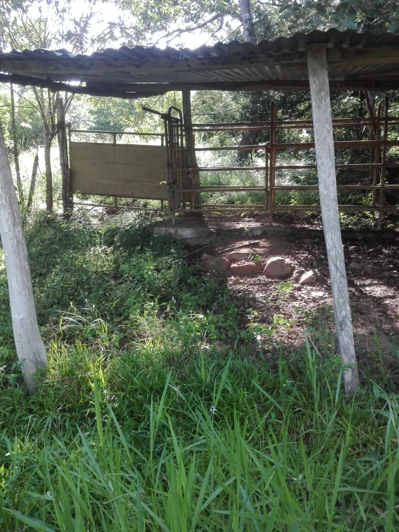 Terreno en venta en Llano de Piedra, comunidad de Bombachito, Provinci...