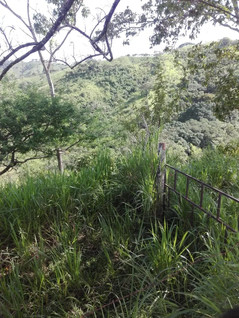 Terreno en venta en Llano de Piedra, comunidad de Bombachito, Provinci...