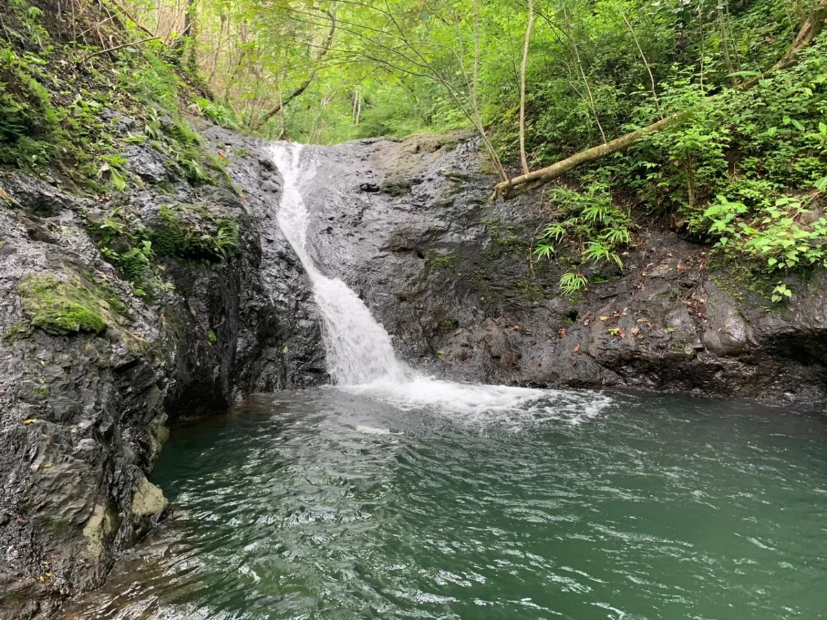 PROPIEDAD EN VENTA EN CHORRILLOS, REGION DE QUEBRADA GRANDE, VERAGUAS. 23 HECTÁREAS (56,83 ACRES).