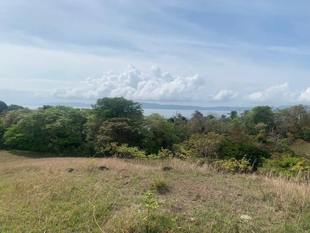 INCREIBLE PROPIEDAD DE 3 HECTAREAS (7.41 ACRES) FRENTE AL MAR EN VENTA...
