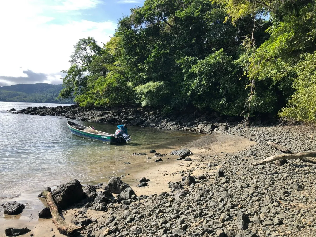 PROPIEDAD EN VENTA EN ISLA GOBERNADORA, VERAGUAS. 1,2 HECTÁREAS (2,96 ...