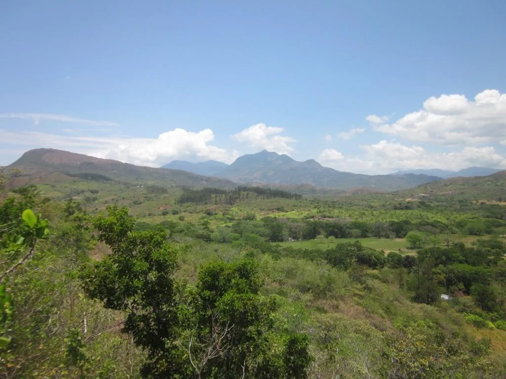 PROPIEDAD EN VENTA EN SANTA FE, VERAGUAS. 39 HECTÁREAS (96,37 ACRES).