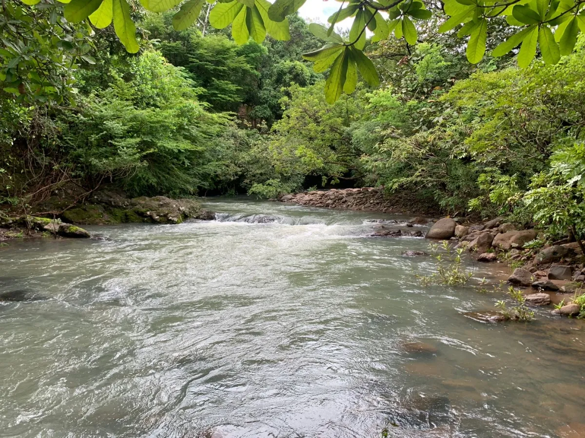 PROPIEDAD EN VENTA EN SANTA FE, VERAGUAS. 39 HECTÁREAS (96,37 ACRES).