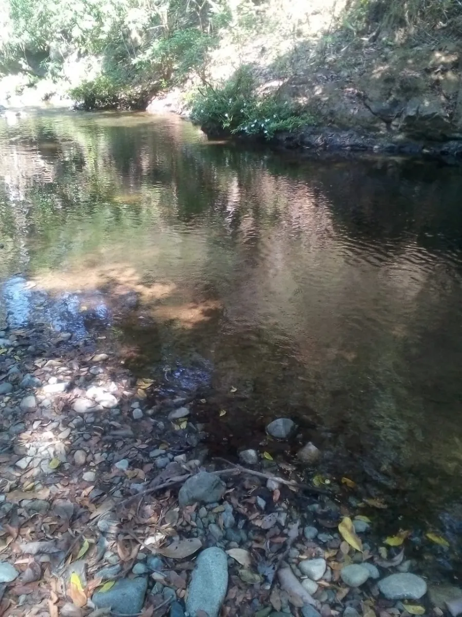 GRAN PROPIEDAD EN VENTA, EN SONA, VERAGUAS. 410 HECTÁREAS (1.013,13 AC...