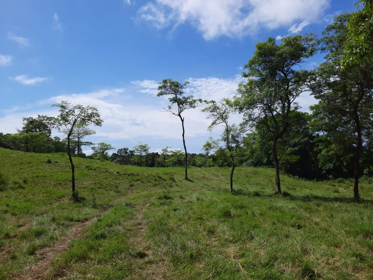 INCREÍBLE PROPIEDAD DE 3 HECTÁREAS EN VENTA, EN SANTA CATALINA, VERAGUAS.