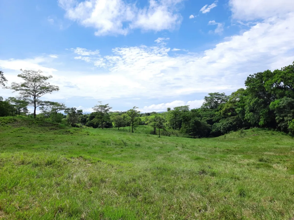 INCREÍBLE PROPIEDAD DE 3 HECTÁREAS EN VENTA, EN SANTA CATALINA, VERAGUAS.