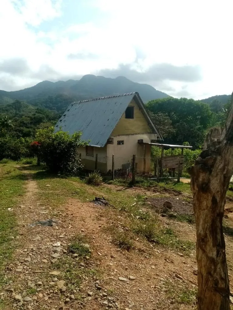 ESPECTACULAR FINCA EN VENTA EN PENONOME, 99 HECTÁREAS.