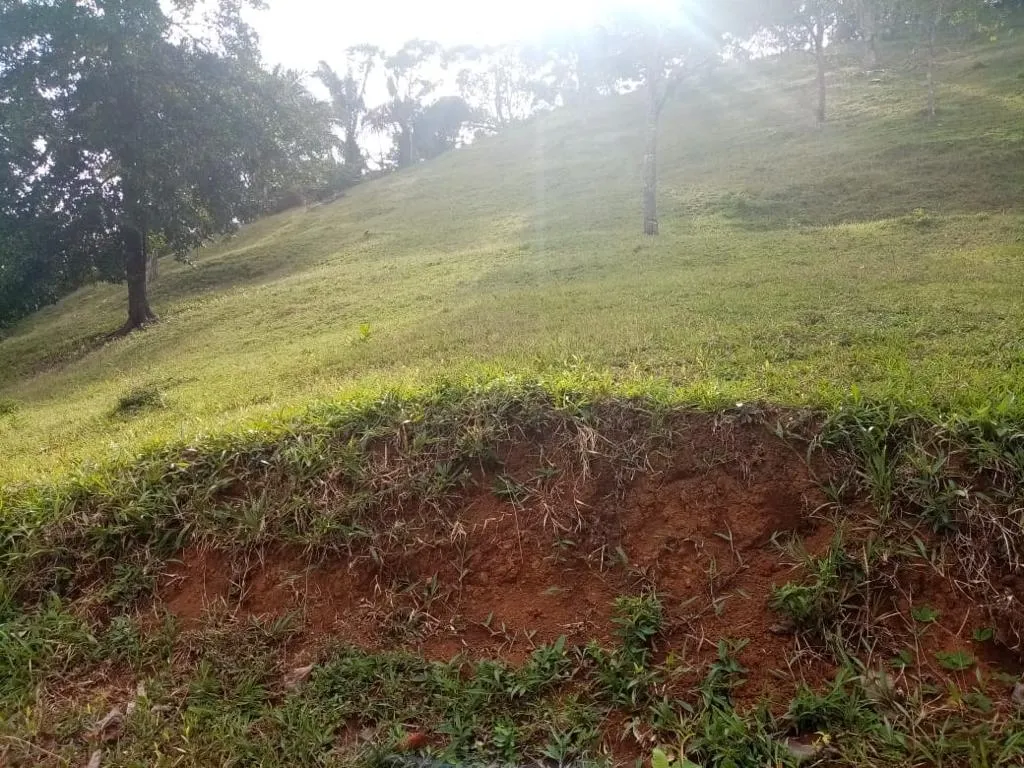 ESPECTACULAR FINCA EN VENTA EN PENONOME, 99 HECTÁREAS.