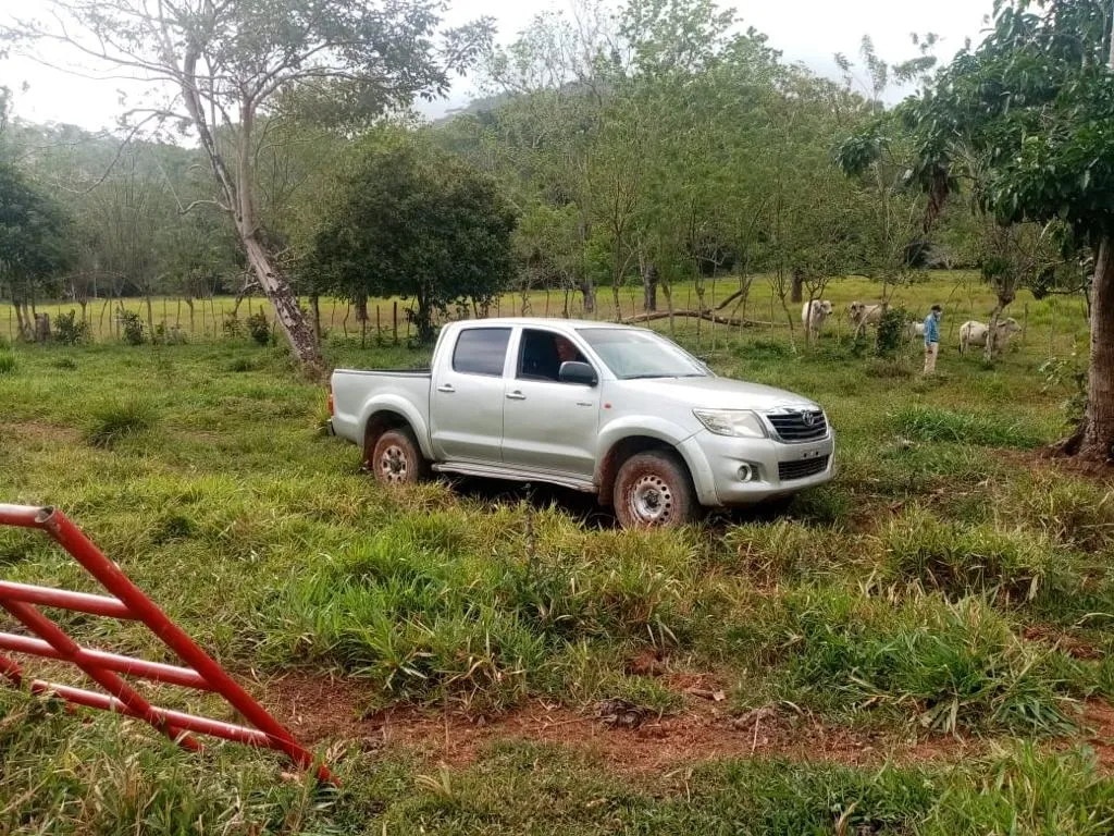 ESPECTACULAR FINCA EN VENTA EN PENONOME, 99 HECTÁREAS.