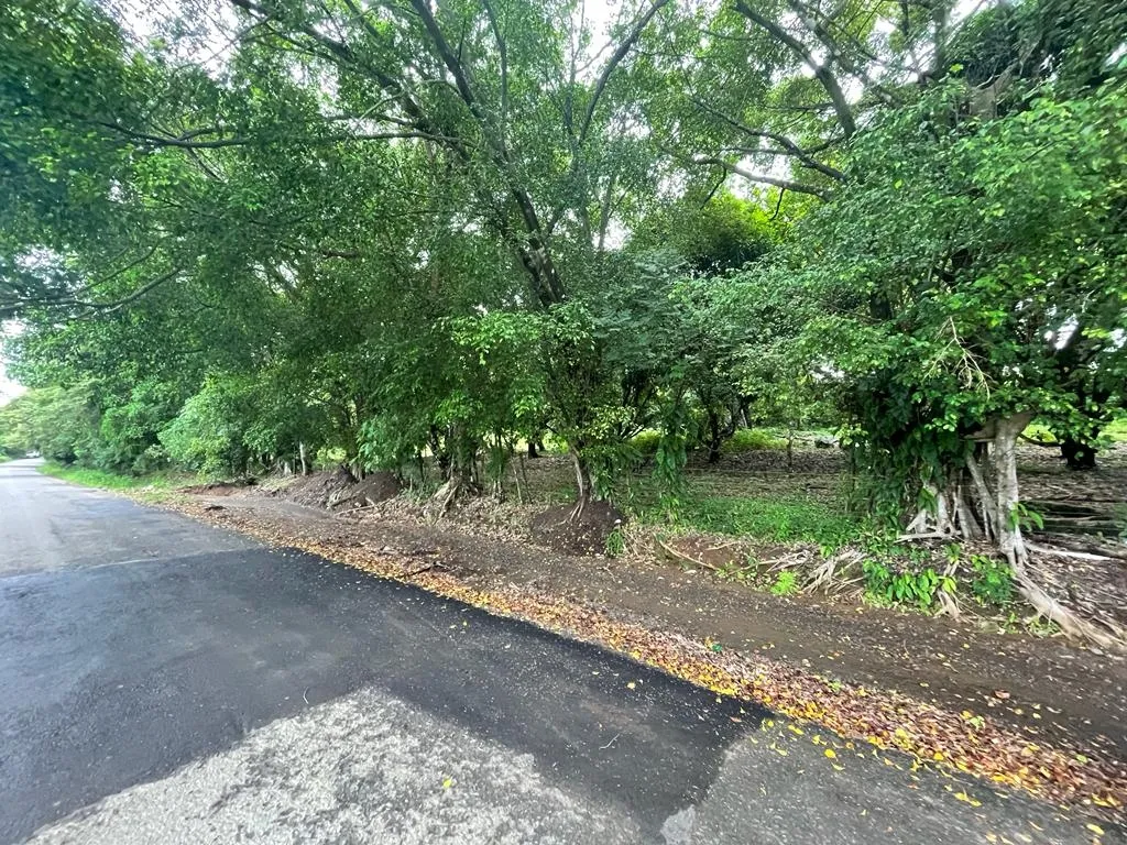 PROPIEDAD DE GRAN POTENCIAL A LA VENTA EN EL BORDE DE LA CALLE PRINCIPAL, EN HICACO, SANTA CATALINA, VERAGUAS. DE 13.000 METROS CUADRADOS (3,212 ACRES