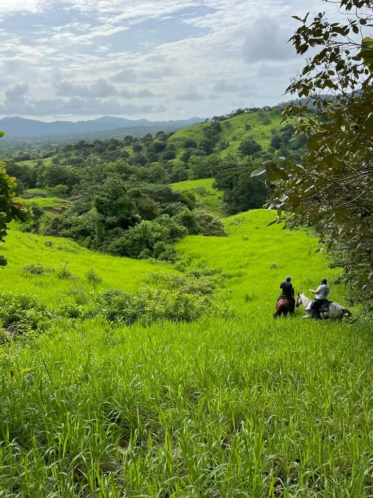 PROPIEDAD EN VENTA EN SONÁ, VERAGUAS. DE GRAN EXTENSIÓN 169 HA (417.60 ACRES).