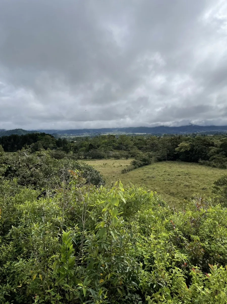 Terreno perfecto para un complejo familiar en el altiplano con vistas al Volcán