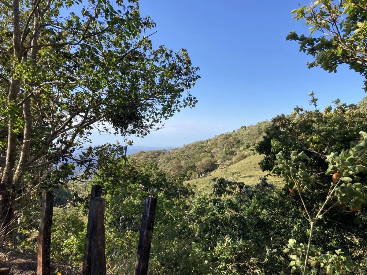 Cattle ranch or private hideaway with amazing views