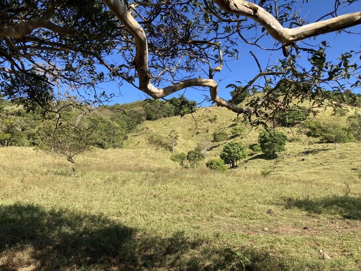 Cattle ranch or private hideaway with amazing views