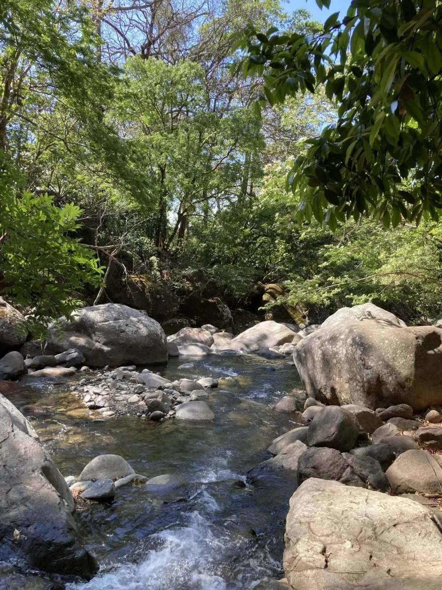 Cattle ranch or private hideaway with amazing views