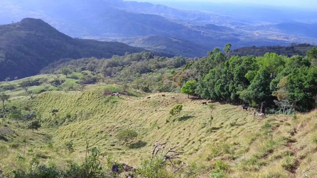 Cattle ranch or private hideaway with amazing views