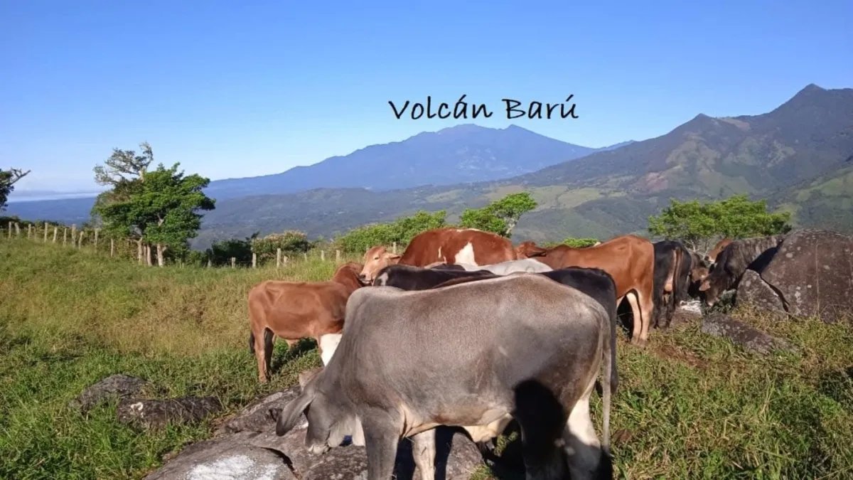 Cattle ranch or private hideaway with amazing views