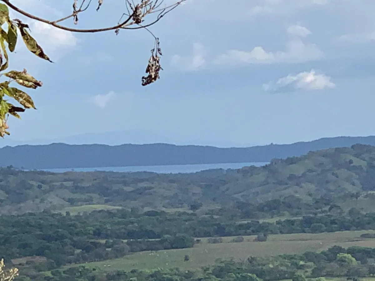 INCREIBLE OPORTUNIDAD DE COMPRAR UN LOTE DE TERRENO A UN EXCELENTE PRECIO. 19 HECTERAS (46.95 ACRES) SAN LORENZO, VERAGUAS.
